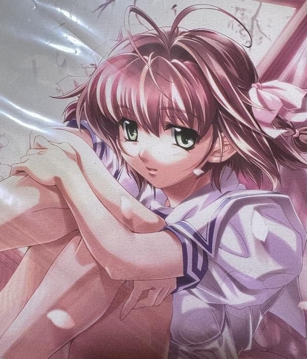 数量限定 君が望む永遠 バカ王子ペルシャ 直筆サイン入り ミストグラフ 複製原画