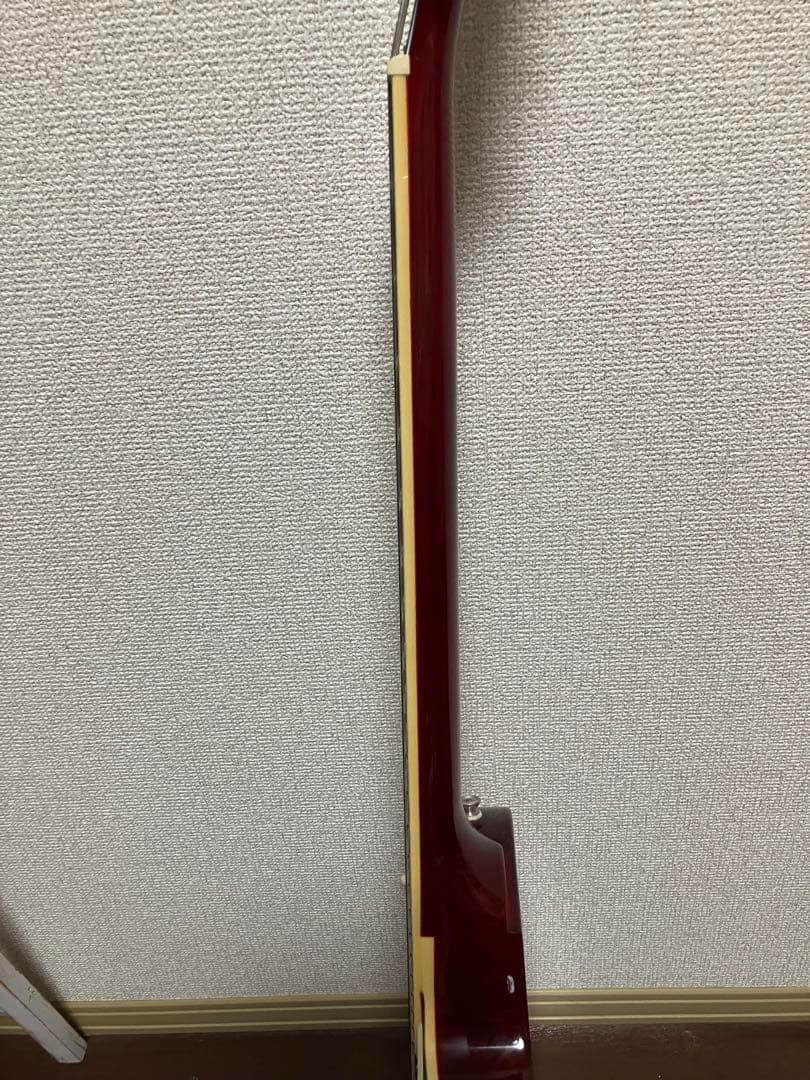 Epiphone Les Paul Standard 50s トレモロアーム付