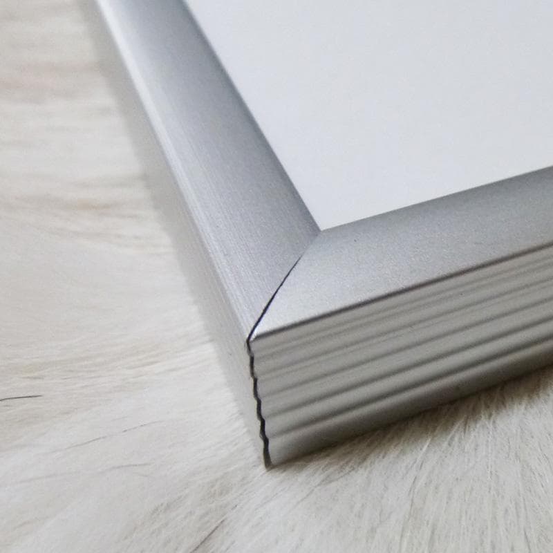 額装品/Public conVENience/田端　綾子 /束芋