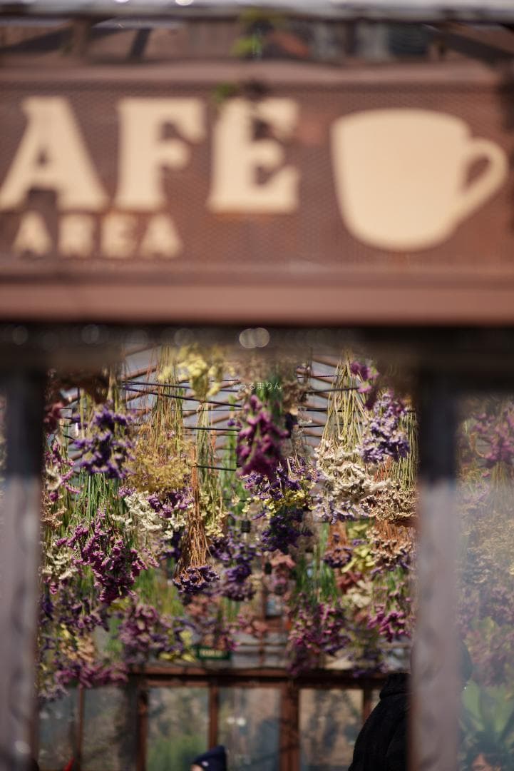 貴重な絶版マクロ！Zeiss Makro-Planar 100mm f2 ZF