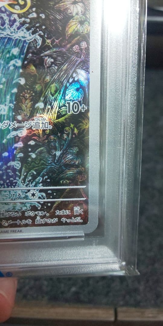 コイキング ar psa10