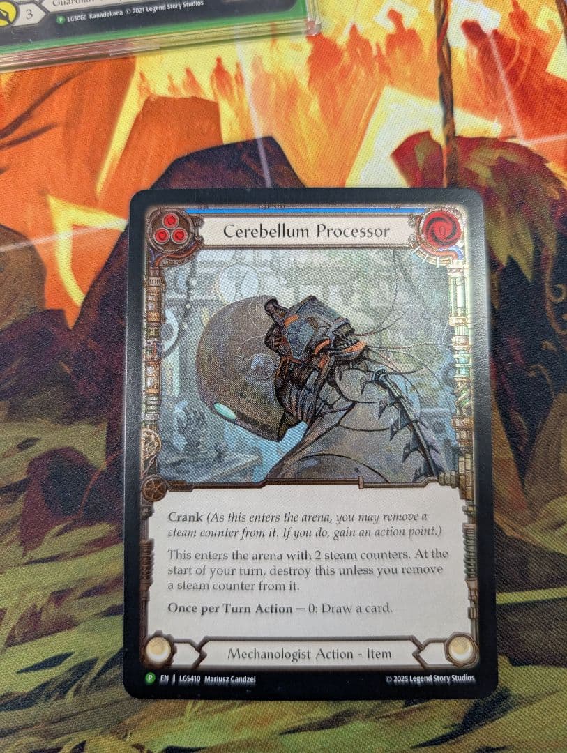 その他 cerebellum processor CF flesh and blood