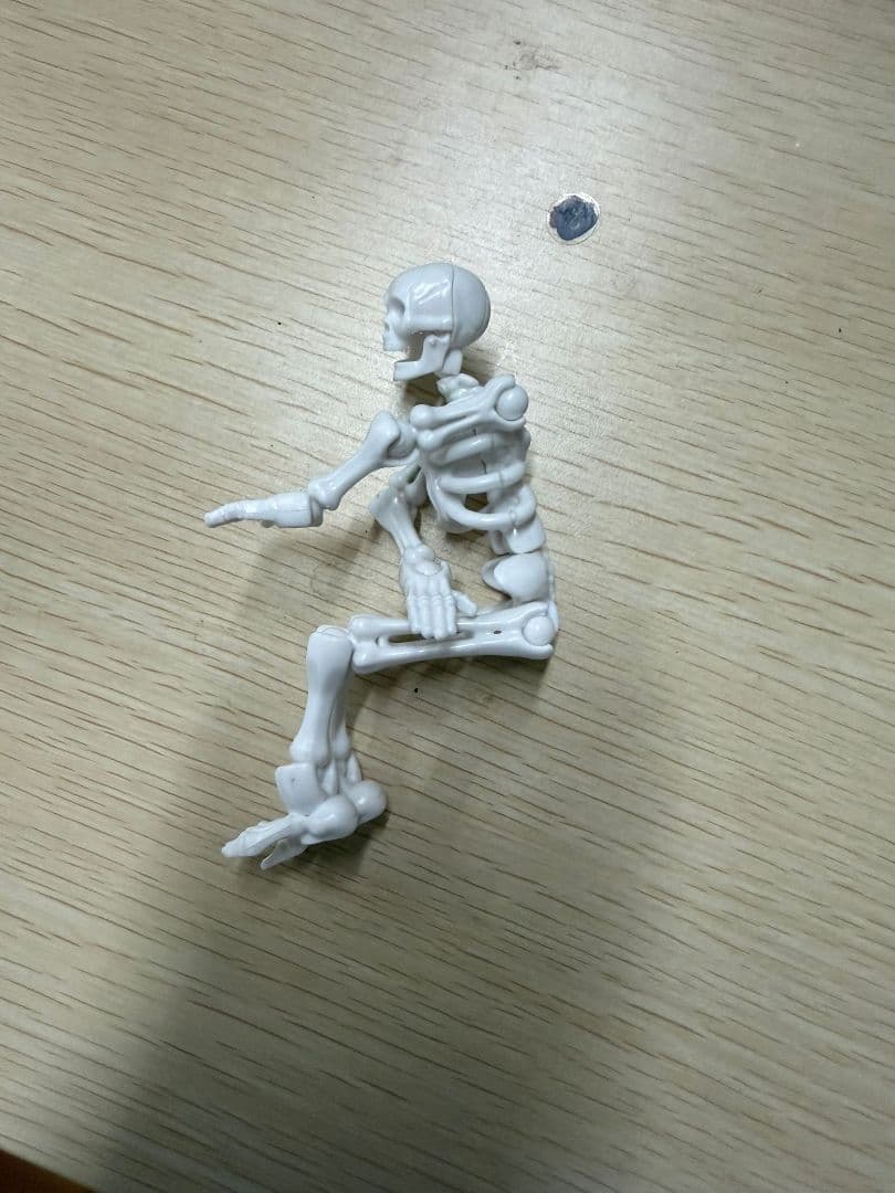 可動式ホワイト人体模型