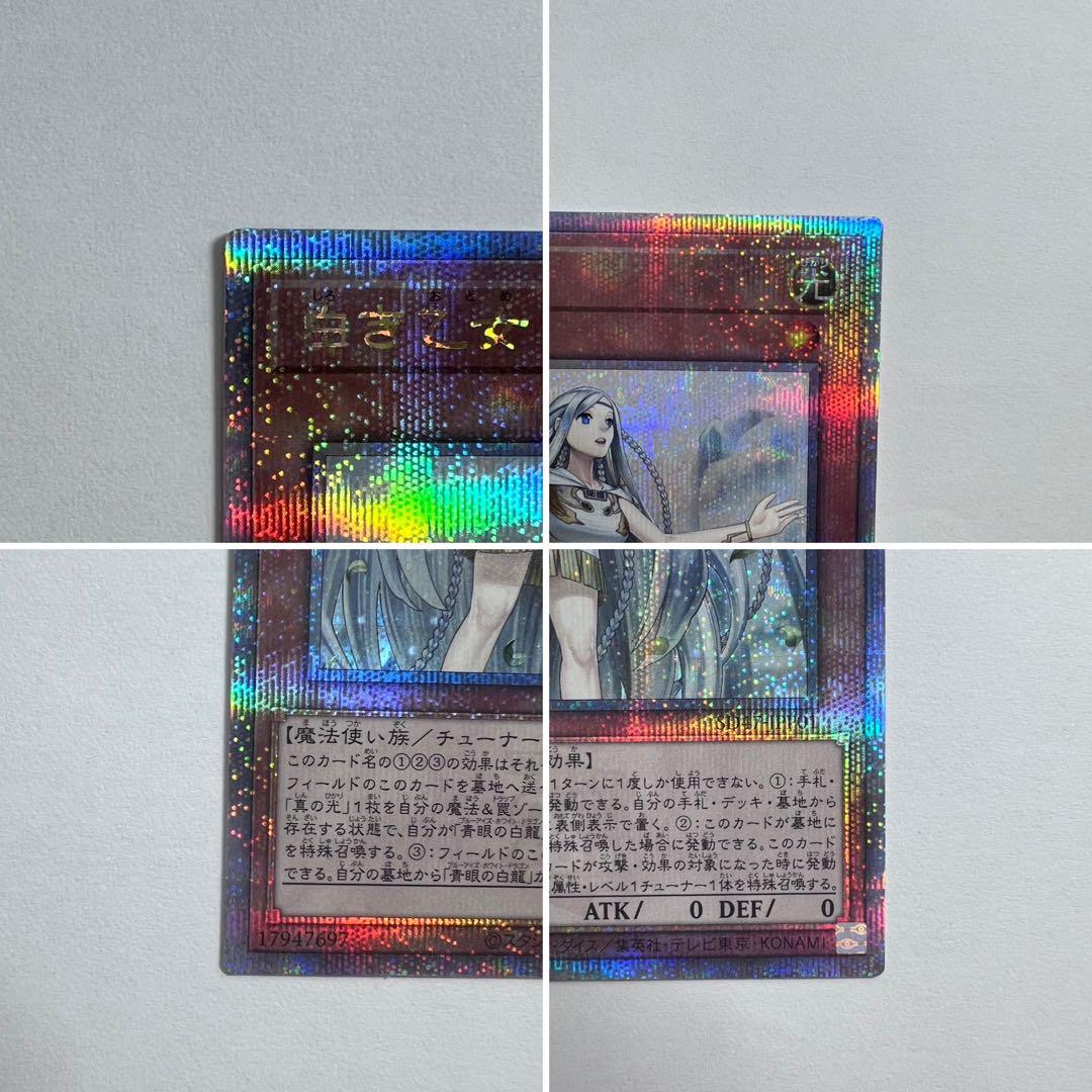 白き乙女 25thシークレット 新品