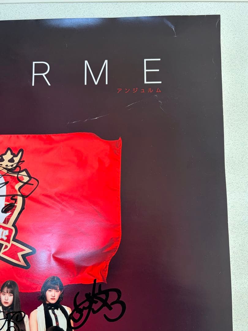 【2枚セット】【全員直筆サイン】　アンジュルム ポスター