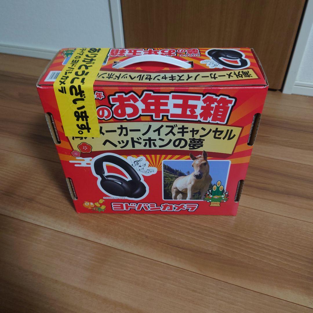 海外メーカーノイズキャンセルヘッドホンの夢