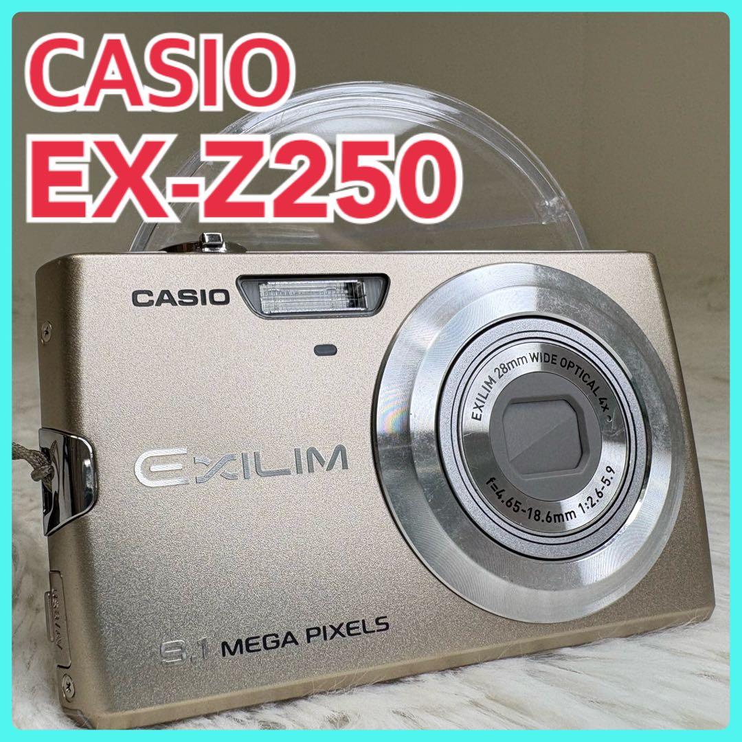CASIO カメラ　EX-Z250 充電器　説明書　ゴールド　 コンデジ　動作品