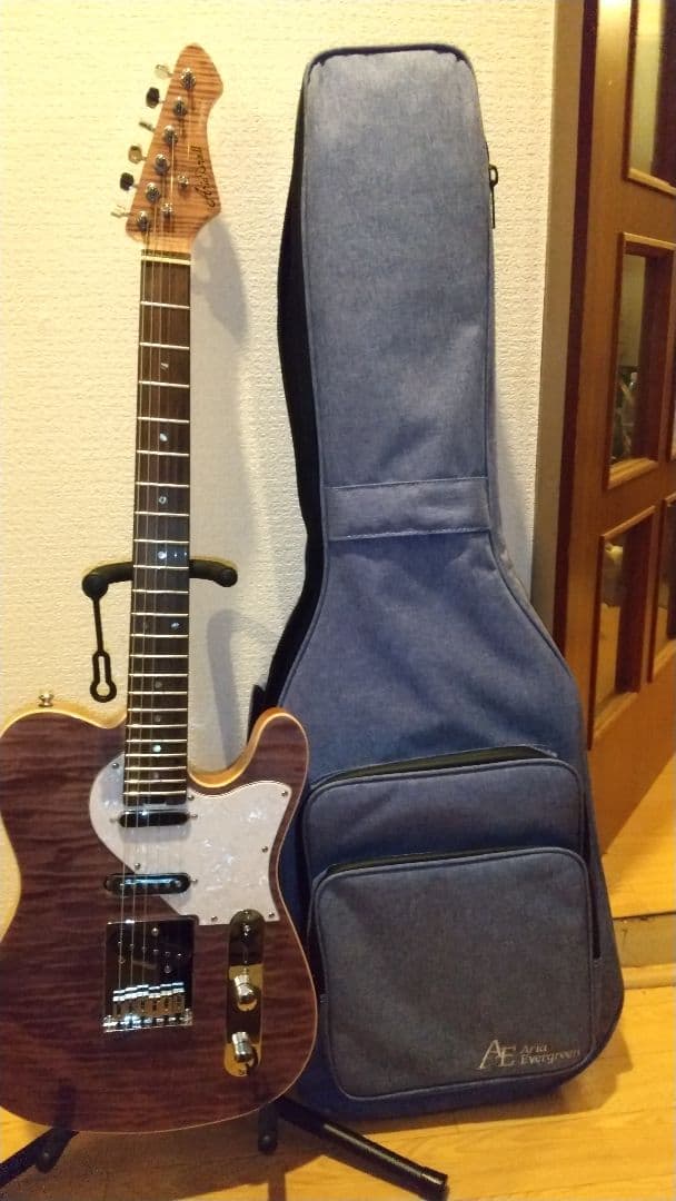 早い者勝ち！！テレキャスター ナッシュビルテレキャスター・アリアプロ2