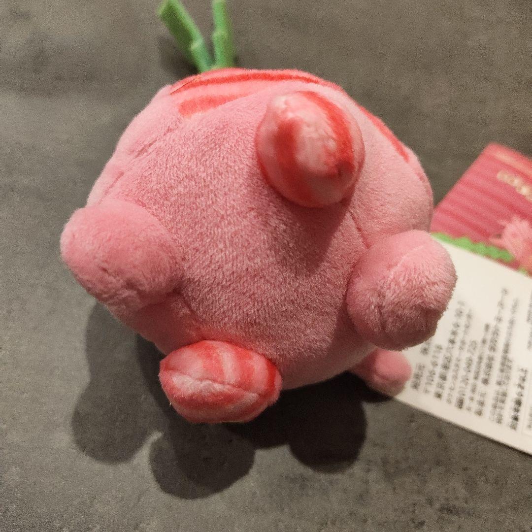 ポケモンセンター ハネッコ ぬいぐるみchiku-chiku_sewing