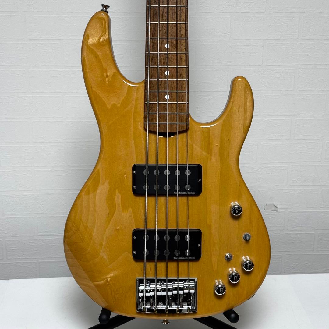 【美品】ESP AP-SL5 エレキベース 5弦ベース スーパーロングスケール