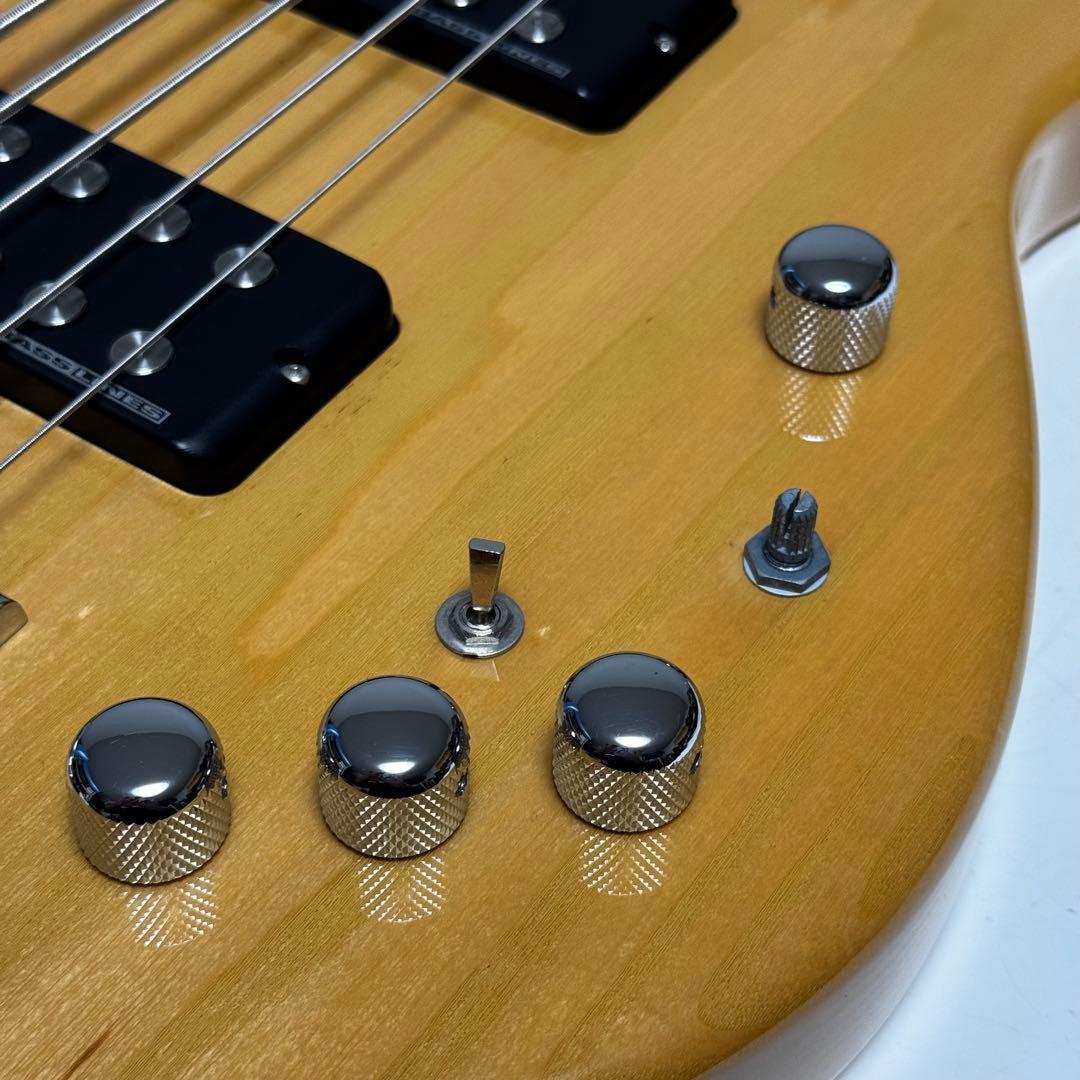 【美品】ESP AP-SL5 エレキベース 5弦ベース スーパーロングスケール