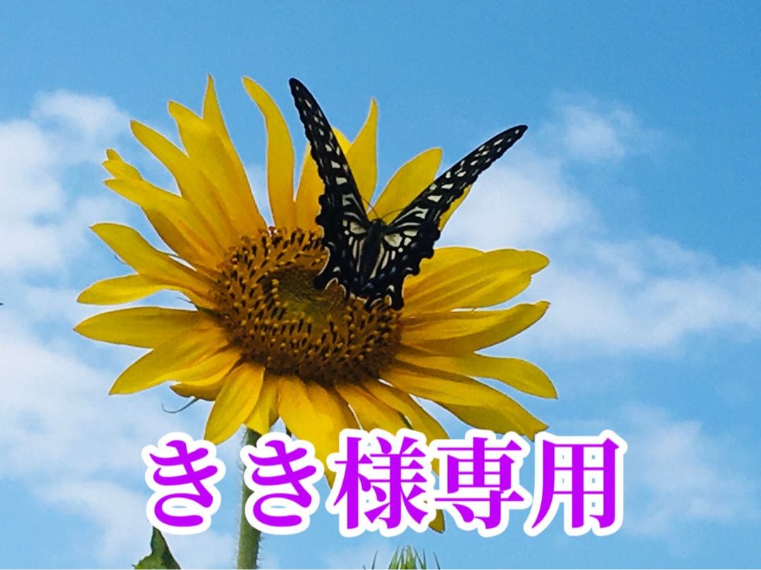 きき様❤️おまとめ専用ページです。3/29まで♡