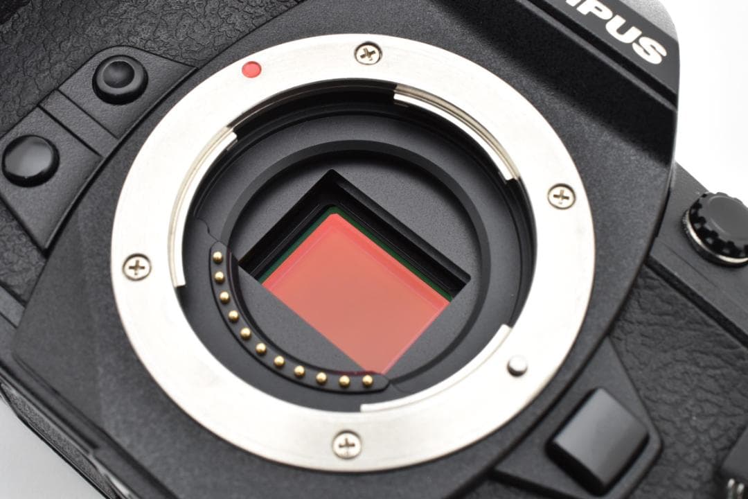 OLYMPUS オリンパス OM-D E-M1 Mark II