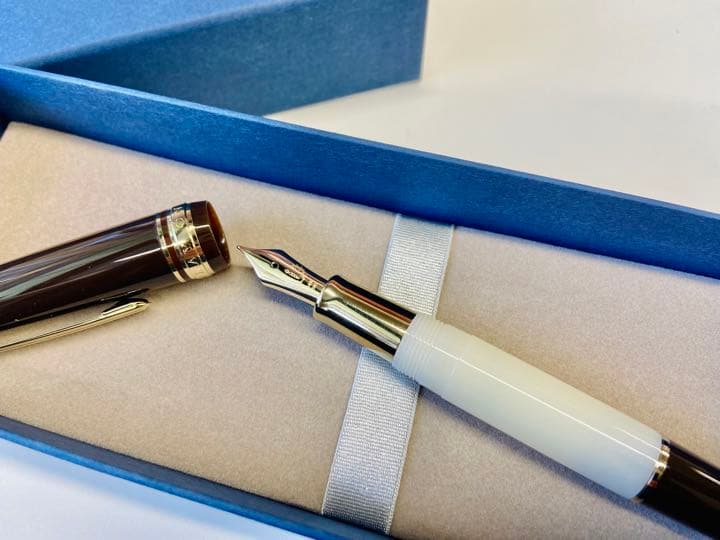 代官山蔦屋書店限定 セーラー万年筆 On Your Birthday M尖