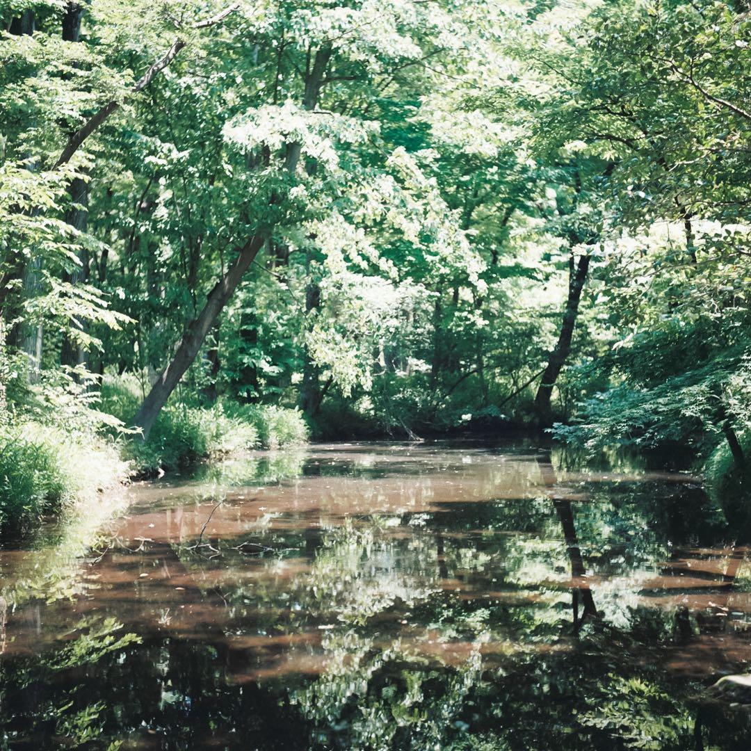 OH済み KONIFLEX 二眼レフカメラ