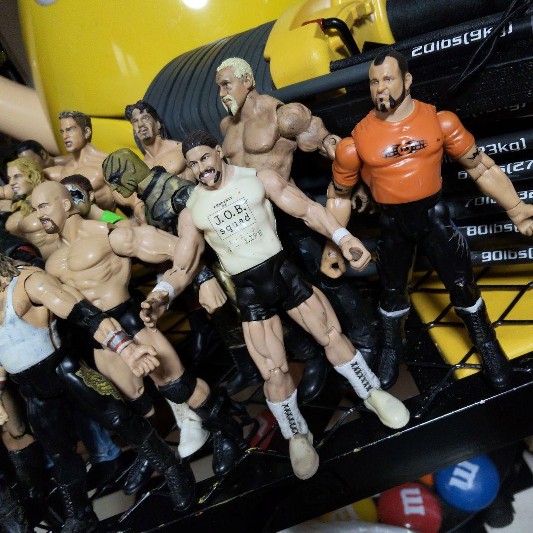 プロレス　フィギュア wwe wwf ロック　ストーンコールド