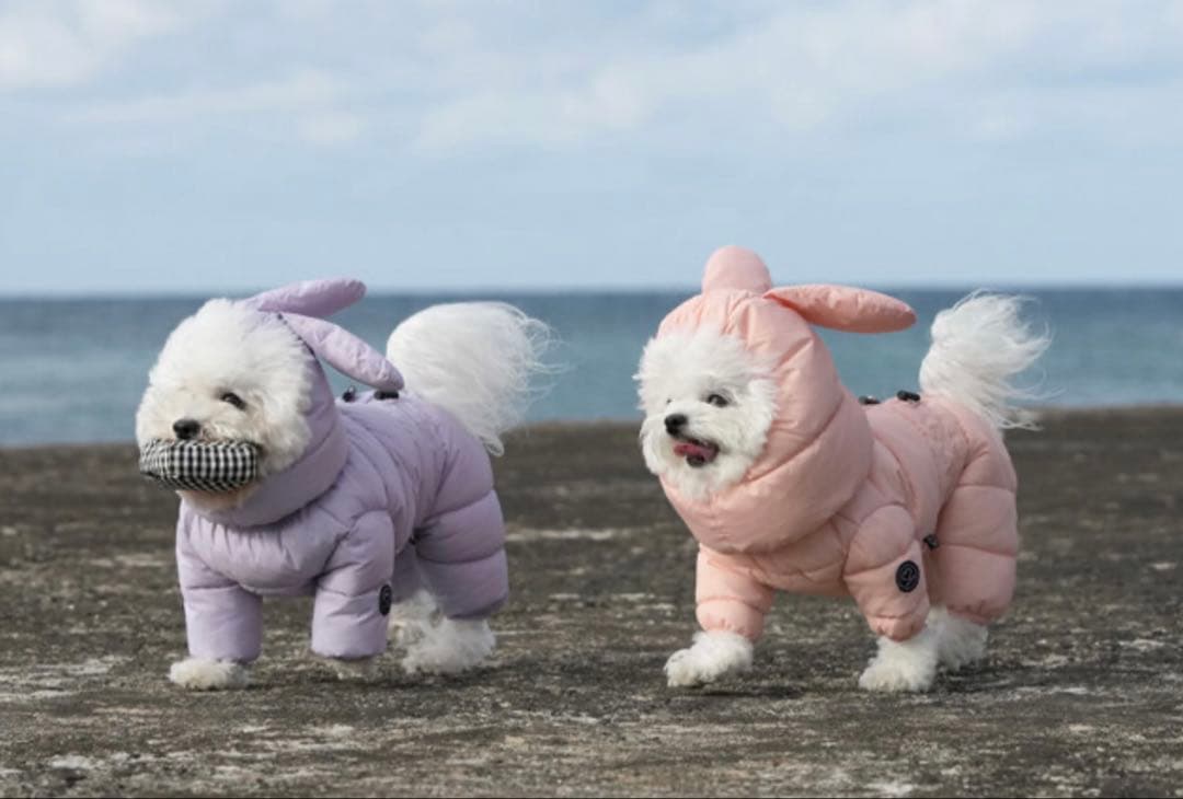 SSOOOK グースフィール ダウンカバーオール3(女の子専用)