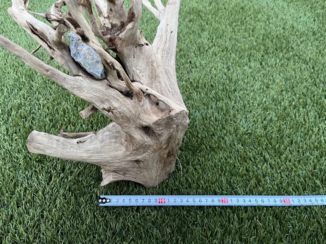 流木 約30cm 自然な形状