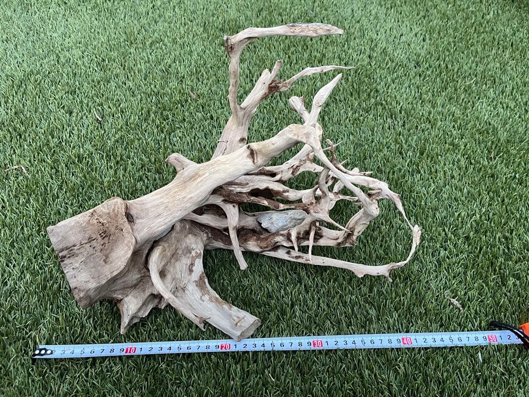 流木 約30cm 自然な形状