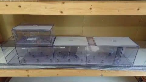 38　120アクリル水槽用　ウール引き出し　奥行き200 接続ホース