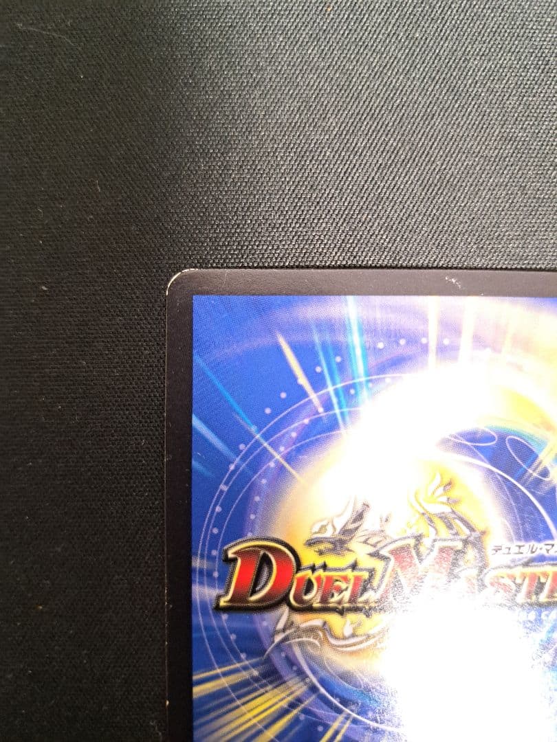 神聖龍 エモーショナル・ハードコア 金