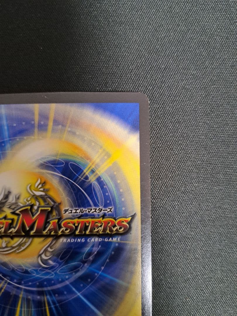 神聖龍 エモーショナル・ハードコア 金