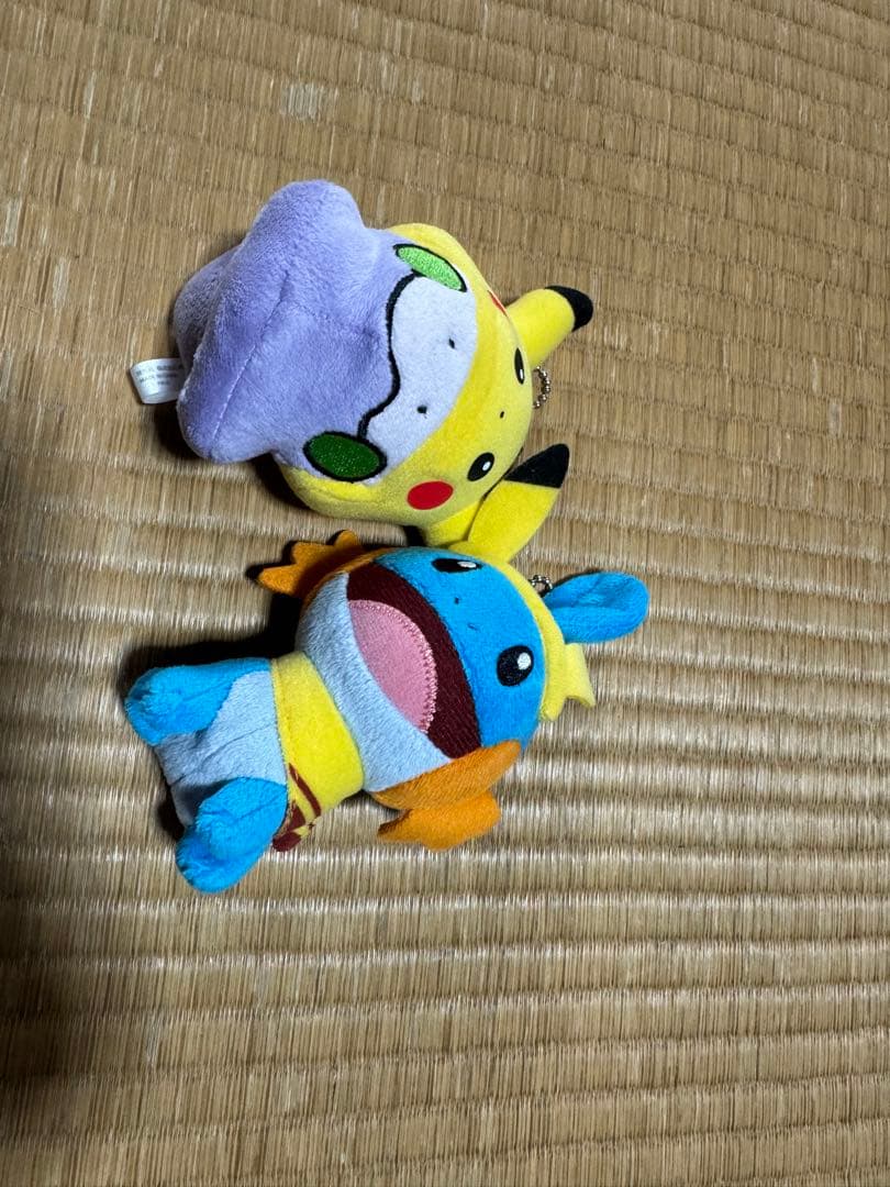 ピカチュウカーニバル　ヌメラ　ミズゴロウ