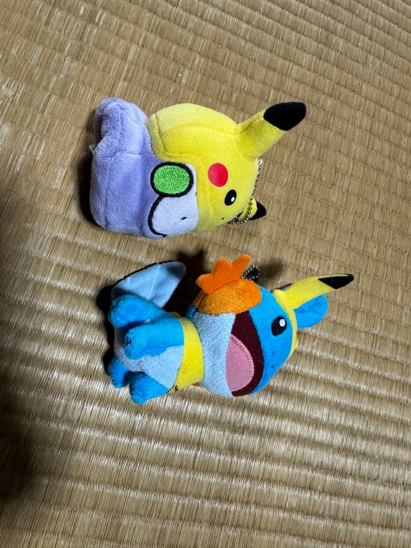 ピカチュウカーニバル　ヌメラ　ミズゴロウ