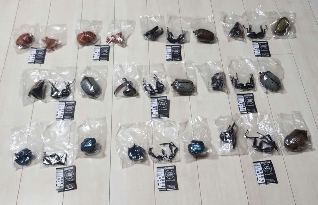 いきもの大図鑑　かぶとむし07　10個セット