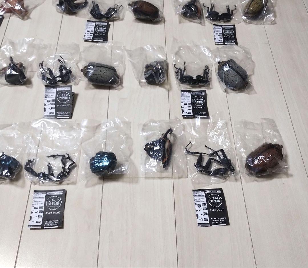 いきもの大図鑑　かぶとむし07　10個セット