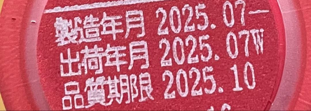 新政　No.6 X-type 2024