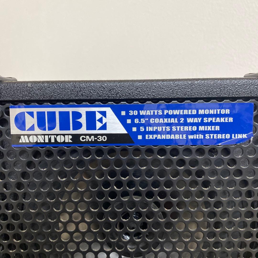 Roland ローランド CM-30 CUBE MONITOR