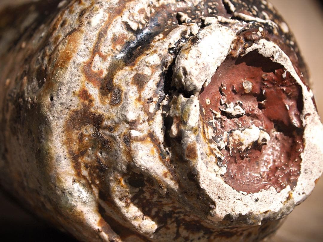 人気作家★大西雅文★赤丹波筒湯のみ