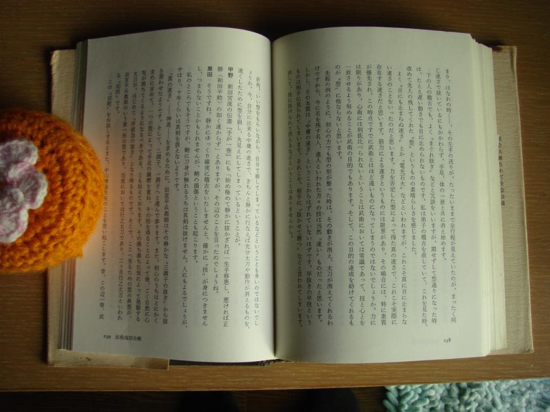 武術談義　甲野善紀　黒田鉄山