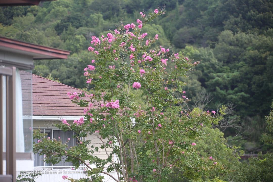 CANON用 SIGMA APO 70-500mm レンズ ジャンク品