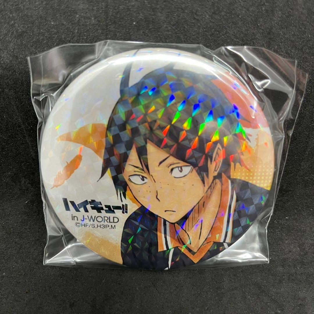 新品 非売品ハイキュー!! 宮城フェス in J-WORLD 2018 山口忠