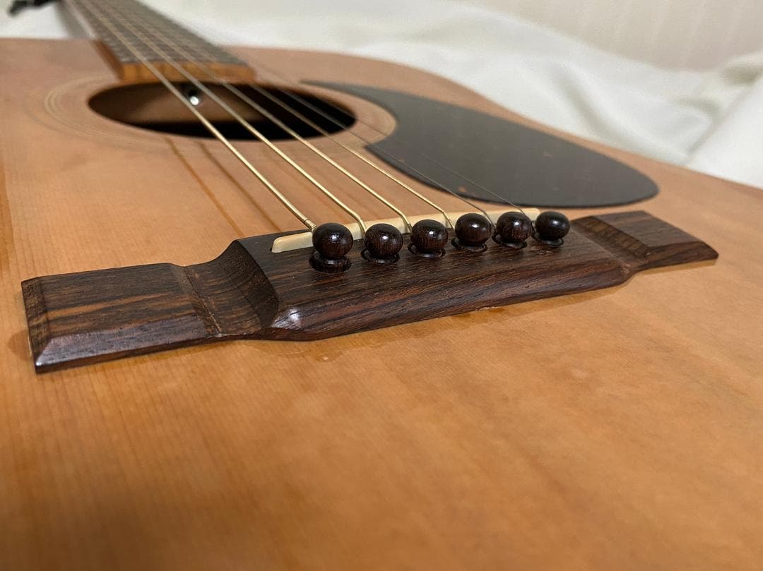 更に値下げいたしました！Jagard（寺田楽器）JD-25M