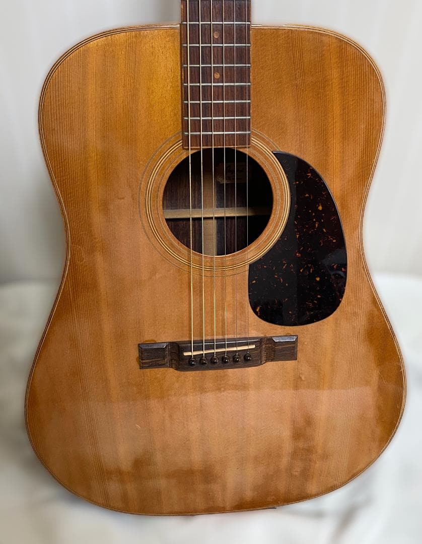 更に値下げいたしました！Jagard（寺田楽器）JD-25M