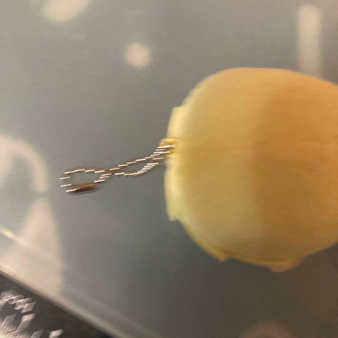 君と僕　KIMI TO BOKU ぬいぐるみ　キーホルダー