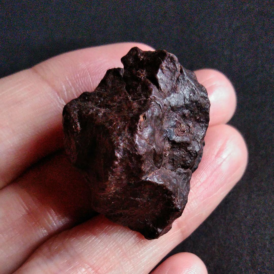 サハラ砂漠　隕石　コンドライト　30mm