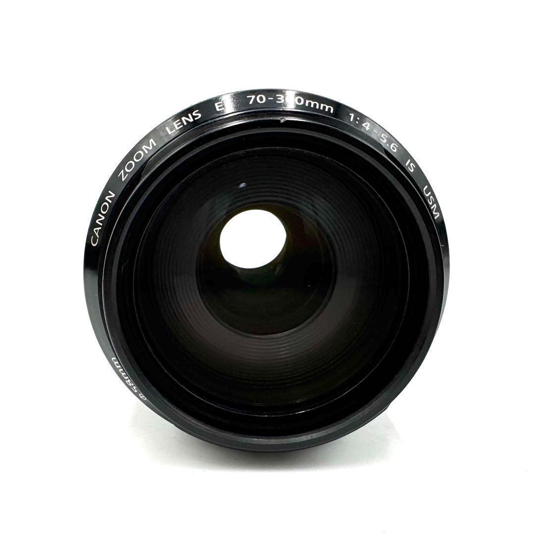 Canon EF 70-300mm F4-5.6 IS USM 手ブレ補正付き