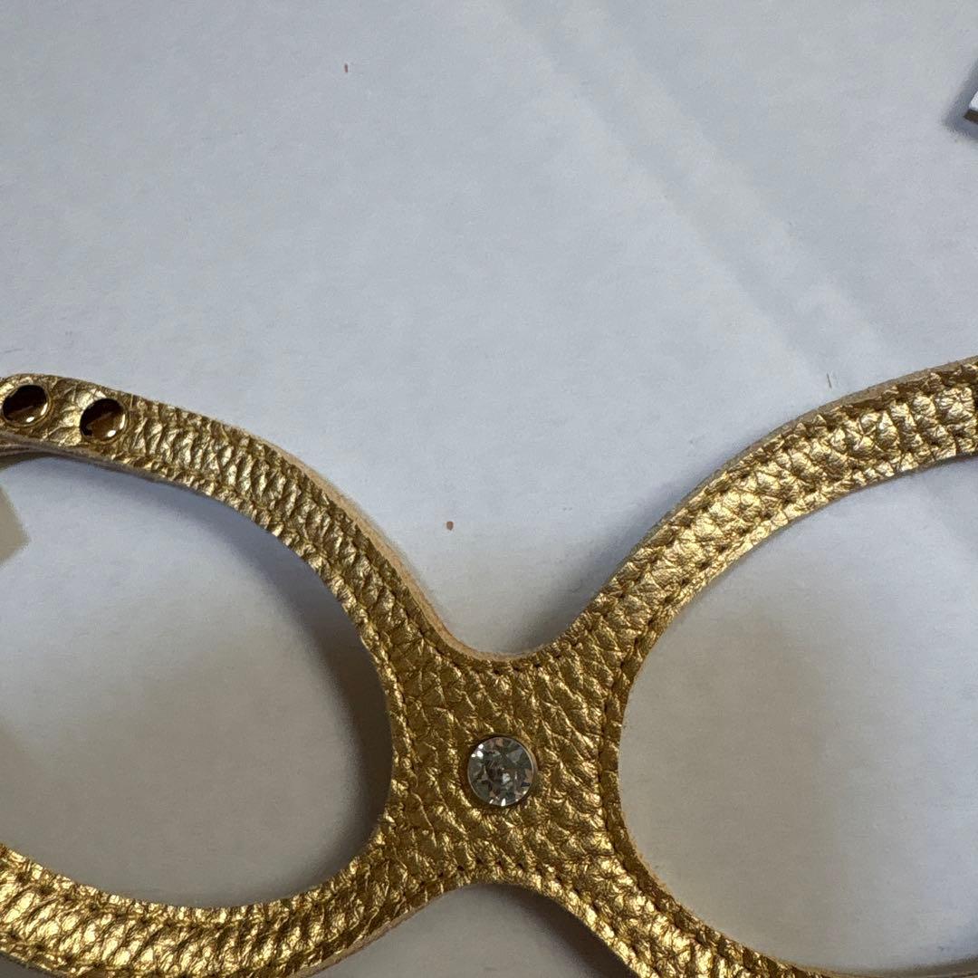 【BUDDY BE LT】Gold Nuggetハーネス.リード セット３号