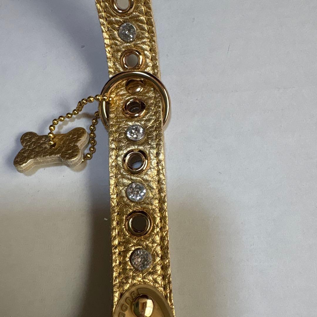 【BUDDY BE LT】Gold Nuggetハーネス.リード セット３号