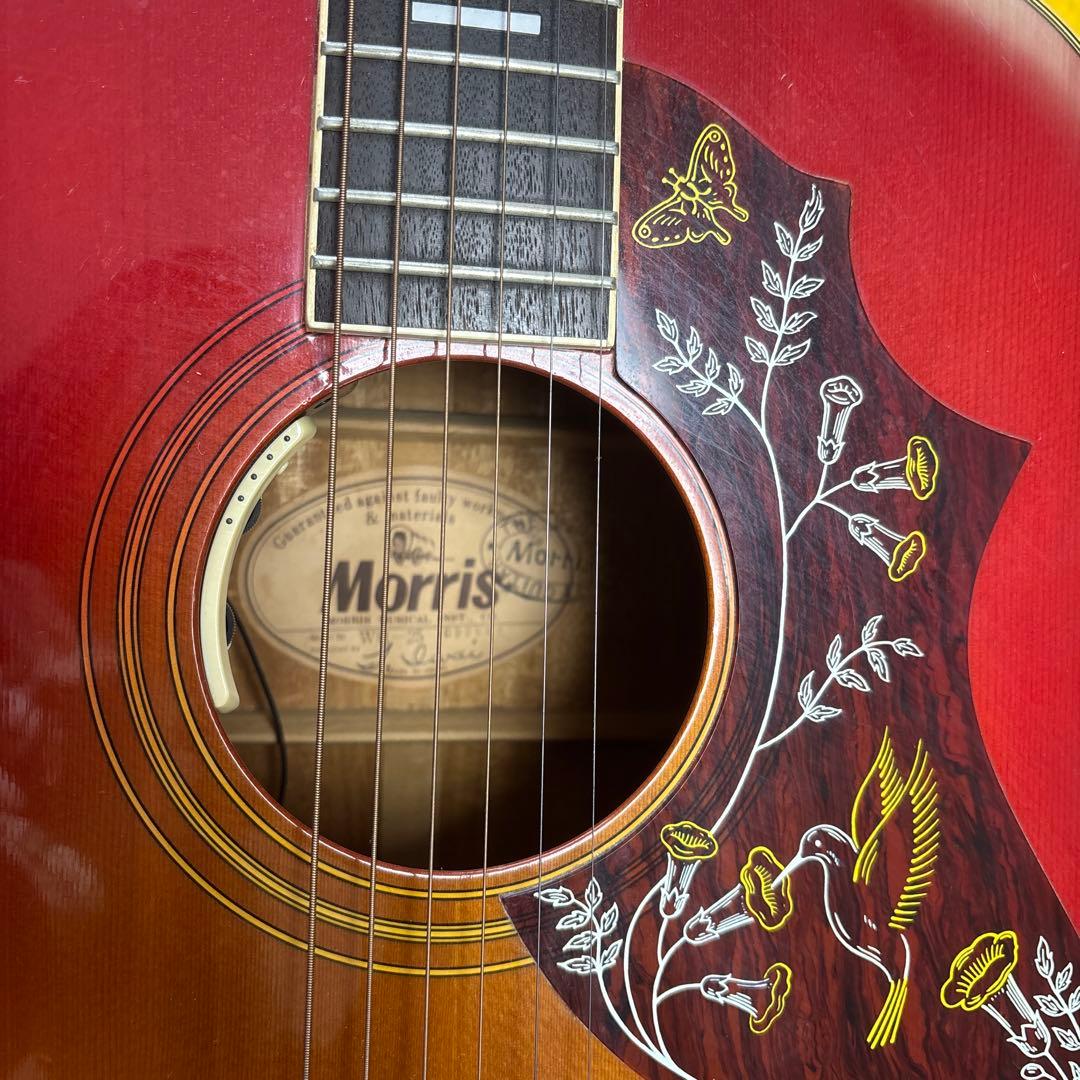 エレアコ仕様 Morris アコースティックギター