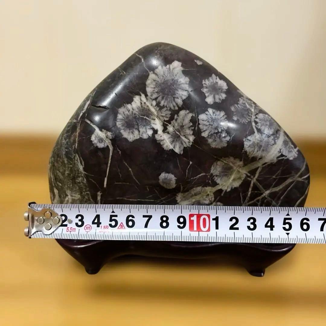 Jページ 菊花石