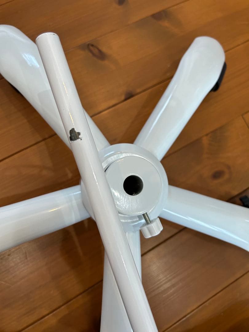 3B Scientific フランク・可動性改良型　人体骨格模型　最終価格