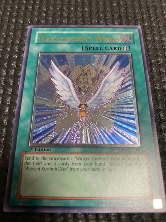 遊戯王　進化する翼　旧アジア版　レリーフ