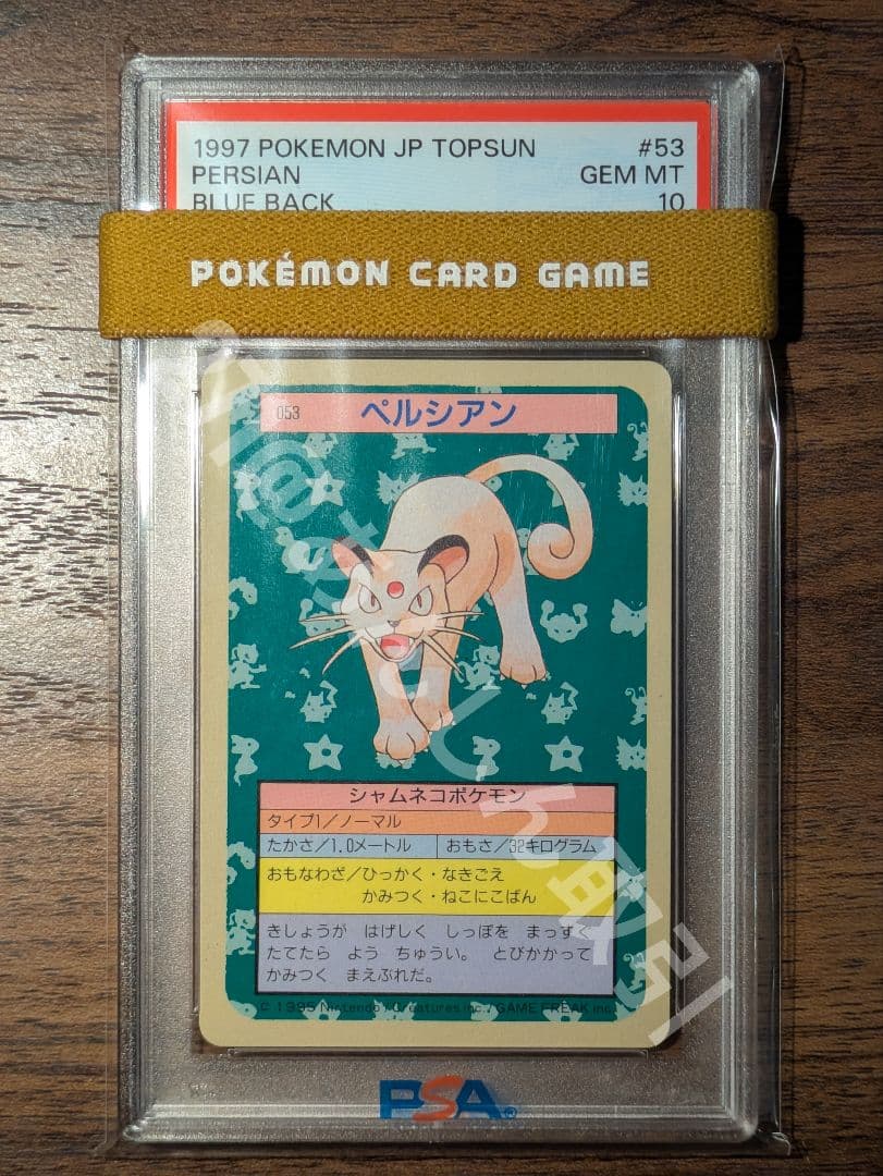 PSA10 ペルシアン トップサン 青裏 ブルー