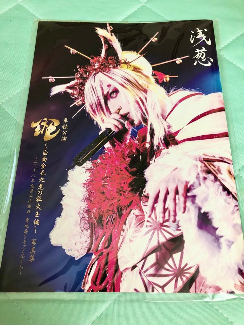 浅葱ソロ　写真集 パンフレット メイキングブック　D ASAGI チェキ