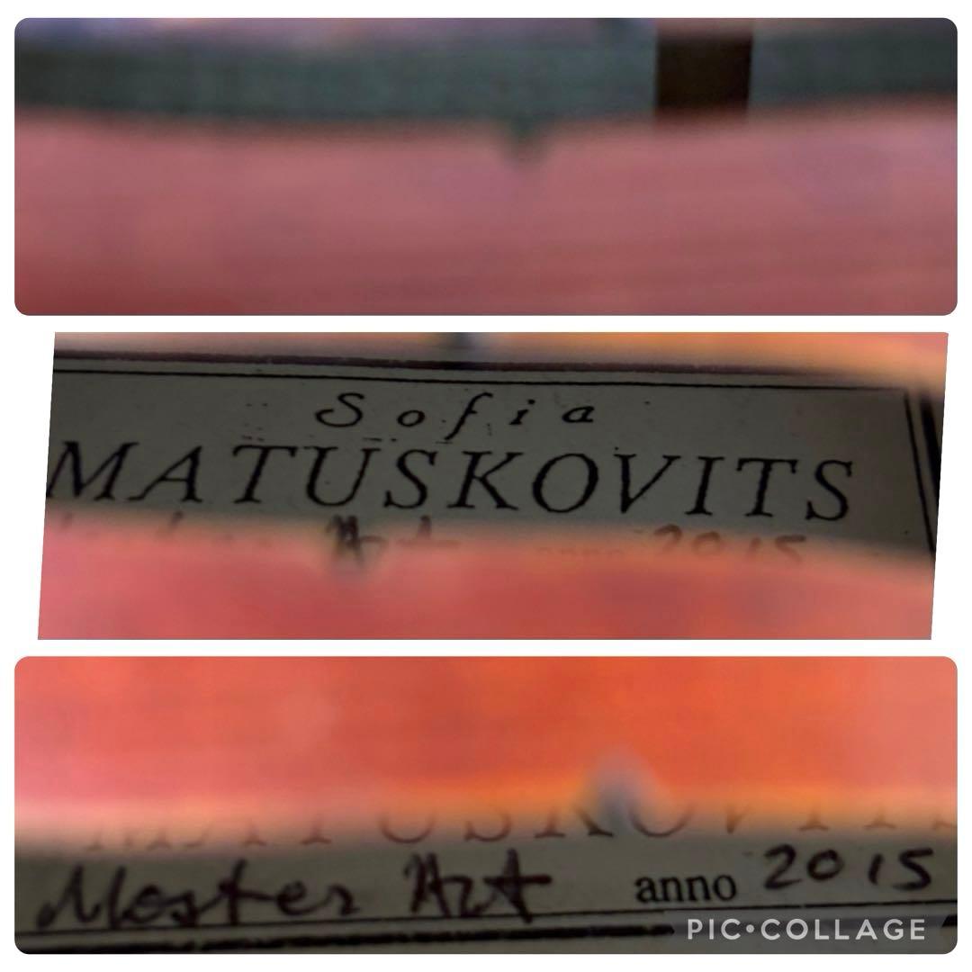 Sofia Master Art バイオリン　4/4 2015年